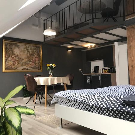 Savoya Nr2 Loft Studio Old City Center Self Check-In Workspace Timisoara Esterno foto
