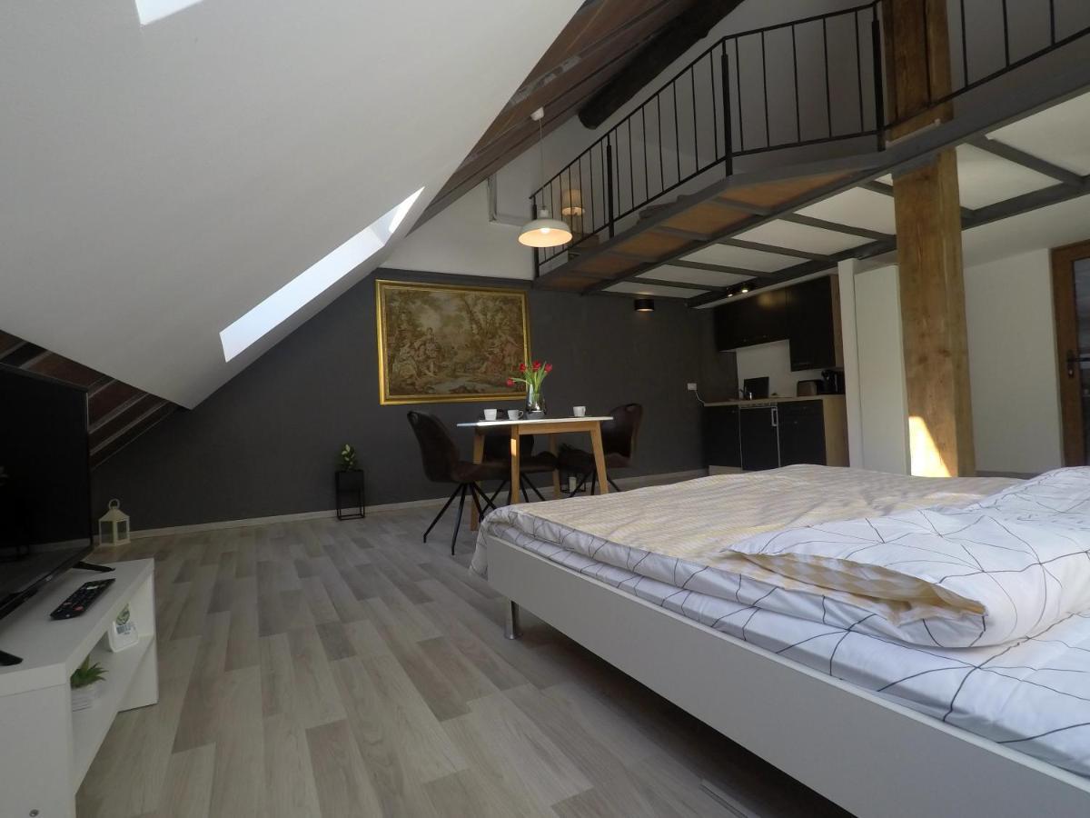Savoya Nr2 Loft Studio Old City Center Self Check-In Workspace Timisoara Esterno foto