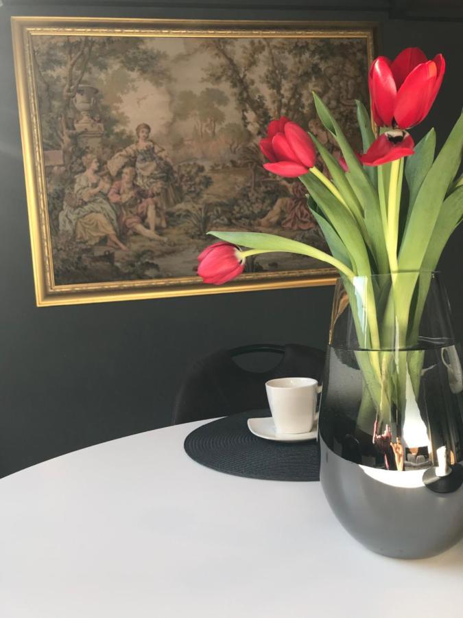 Savoya Nr2 Loft Studio Old City Center Self Check-In Workspace Timisoara Esterno foto