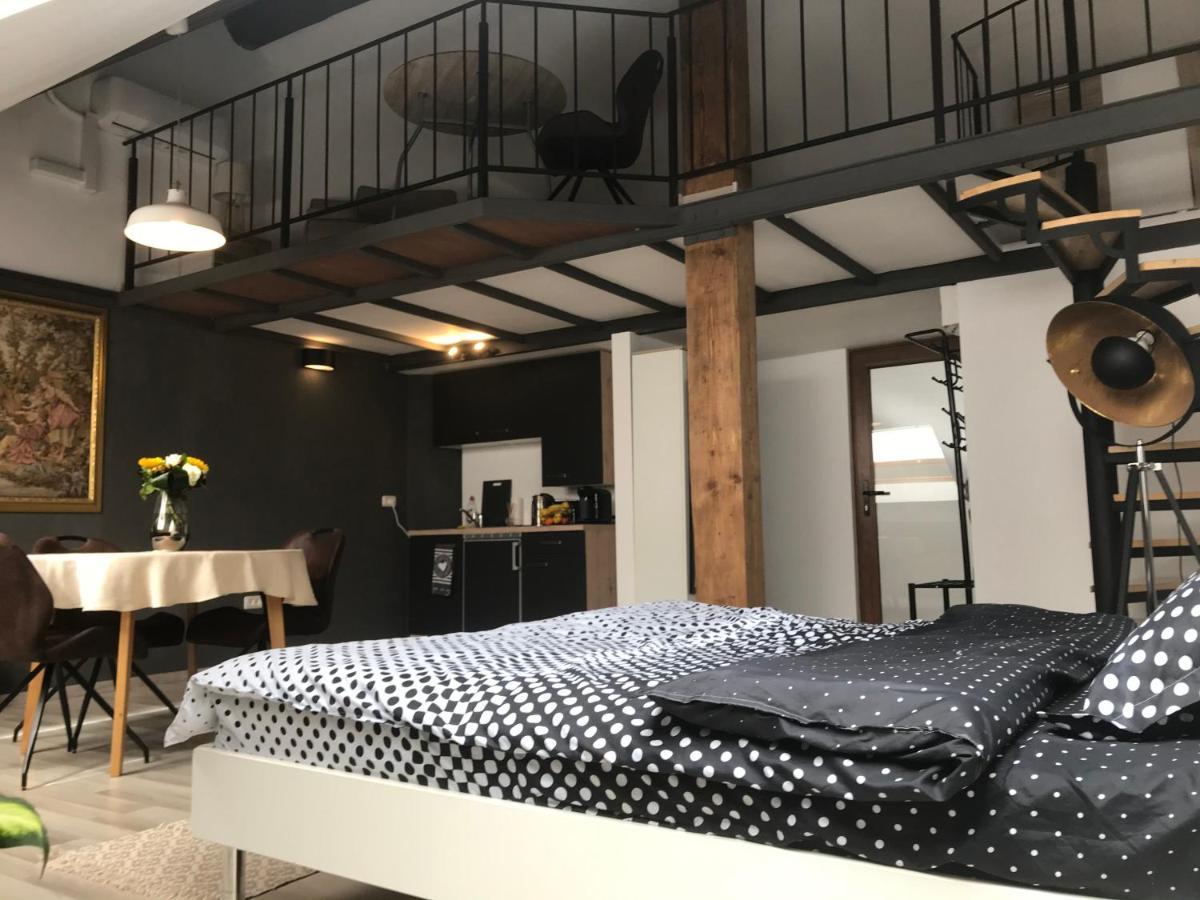 Savoya Nr2 Loft Studio Old City Center Self Check-In Workspace Timisoara Esterno foto