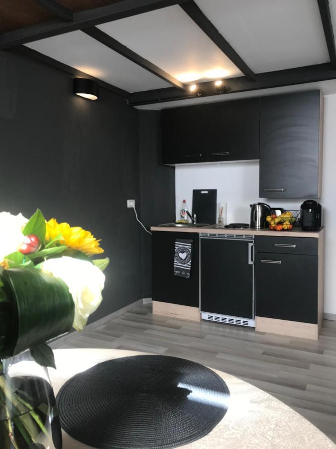 Savoya Nr2 Loft Studio Old City Center Self Check-In Workspace Timisoara Esterno foto