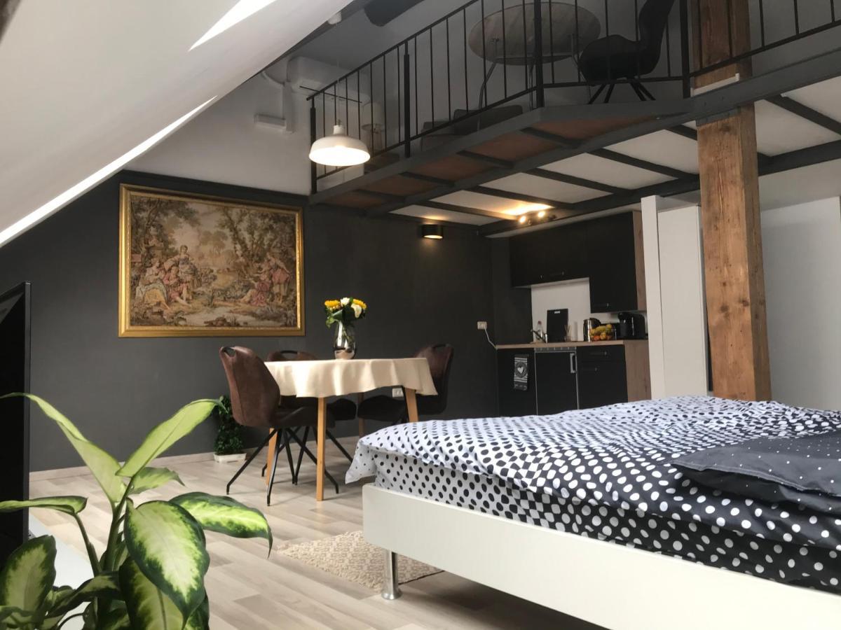 Savoya Nr2 Loft Studio Old City Center Self Check-In Workspace Timisoara Esterno foto
