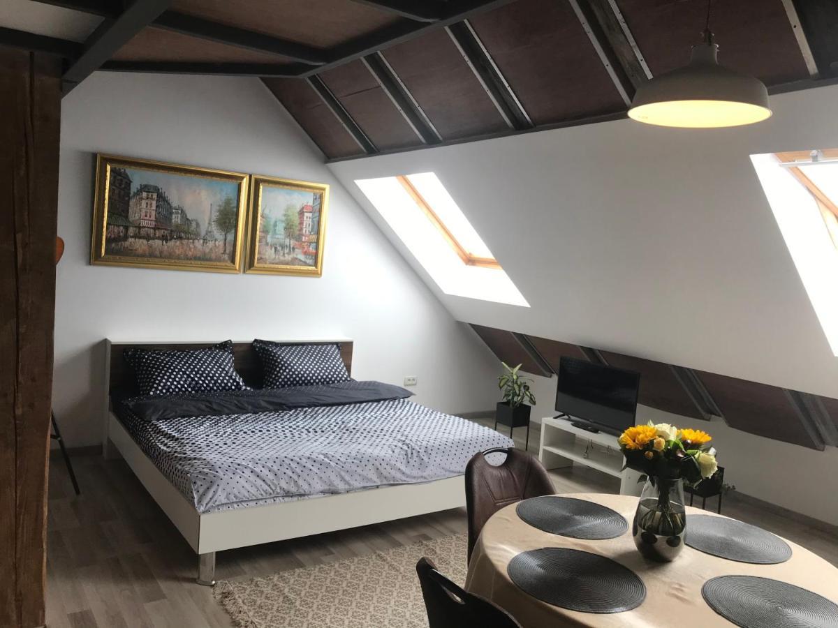 Savoya Nr2 Loft Studio Old City Center Self Check-In Workspace Timisoara Esterno foto
