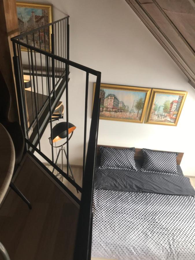 Savoya Nr2 Loft Studio Old City Center Self Check-In Workspace Timisoara Esterno foto