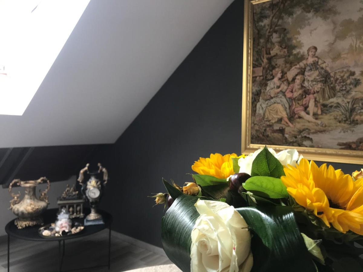 Savoya Nr2 Loft Studio Old City Center Self Check-In Workspace Timisoara Esterno foto