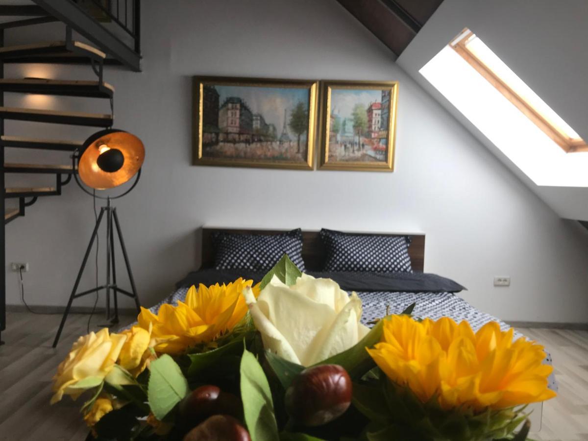 Savoya Nr2 Loft Studio Old City Center Self Check-In Workspace Timisoara Esterno foto